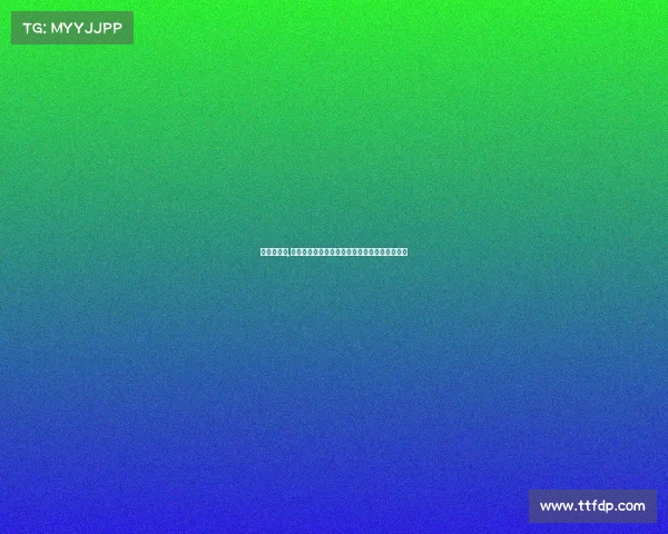 洛阳武术馆,洛阳武术赛事璀璨开幕各路英豪齐聚竞技展雄风